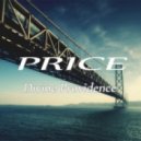DJ PRICE - Divine providence (Extended Mix)