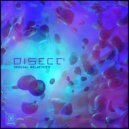 Disect - Continuum Sequence