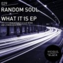 Random Soul - What It Is (Lyndon Kidd Remix)