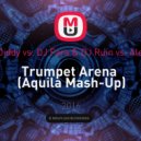 Nelly & P.Diddy vs. DJ Fara & DJ Ruin vs. Aleks Shantal - Trumpet Arena (Aquila Mash-Up)