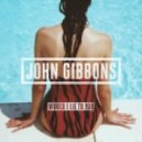 John Gibbons - Would I Lie To You
