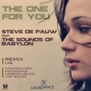Steve De Pauw - The One For You (feat. The Sounds Of Babylon)