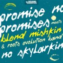 Blend Mishkin & Roots Evolution - No Skylarking (feat. Roots Evolution) (Instrumental Version)