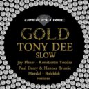Tony Dee - Slow (Paul Darey,Hannes Bruniic remix)