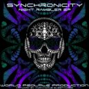 Synchronicity - Fisical Humans Machines