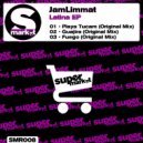JamLimmat - Guajira (Original Mix)