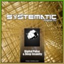 Digital Pulse & Deep Insanity - Systematic (Original Mix)