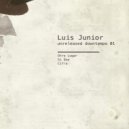 Luis Junior - Si Qua (Original Mix)