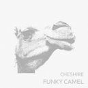Cheshire - Funky Camel (Original Mix)