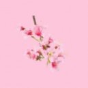 Mirai - Distant