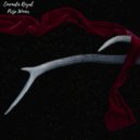 Cinematic Royal - Just Arrived