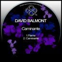 David Balmont - Flame