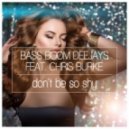 Bass Boom Deejays Ft. Chris Burke - Don\'t Be so Shy (Naxwell Remix)