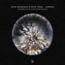 Pete Tong & John Monkman - AURORA (Bambook Remix)