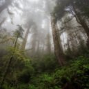 EnJayEff - Walk Through the Forest