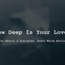 Calvin Harris, Disciples - How Deep Is Your Love (Sasha White Bootleg Mix)