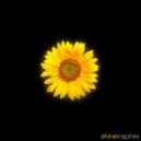 Insphire - Transition