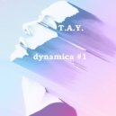 T.A.Y. - dynamica #1