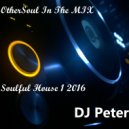 DJ Peter - OtherSoul In The MIX - Soulful House 1 2016