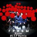 Грибы - копы (I.T.F Remix)