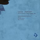 Luis Junior - Prima Quies (Original Mix)
