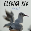 Elektra-RTK - Aura