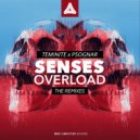 Teminite x Psognar - Senses Overload (Ferception remix)