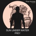 Sun Under Water - Prey (Dino Lenny Instrumental Rmx)