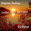 DJ Peter - Autumn Feelings - Soulful House Mix 3 2016