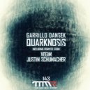 Garillo Dansek - Quarknosis
