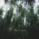 Broken. - Obscurely Transparent (Vagrant Remix)