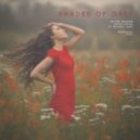 Oliver Heldens & Shaun Frank feat. Delaney Jane - Shades Of Grey