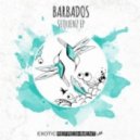 Barbados - Anzahl 222 (Underquote Remix)