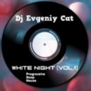 Dj Evgeniy Cat - White night