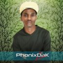 PhonixDaK - The Groove