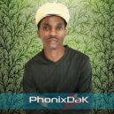 PhonixDaK - The Melodies. (Original Mix)