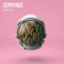 Echocopy - Orbiting