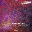 Beyond Horizons - Cross Poison