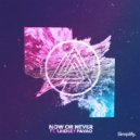 Ryan Moe & Lindsey Pavao - Now Or Never (feat. Lindsey Pavao)