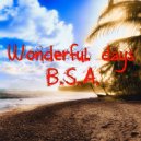 B.S.A. - Wonderful days