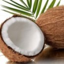 The Refresher - Cocos