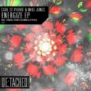 Carl St Pierre & Mike Jones - Di-Wrecked (Cassimm Remix)