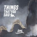 LiTek - Things That You Said