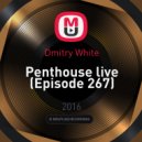 Dmitry White - Penthouse live