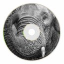 Bimz Barley - Satisfecho (Original mix)