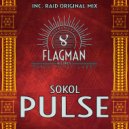 Sokol - Pulse