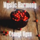 Cuneyt Ogun - Mystic Harmony ()