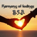 B.S.A. - Harmony of feelings
