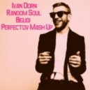 Ivan Dorn Vs Random Soul - Bigudi 2016 (Perfectov Mash Up)