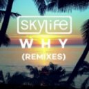 Skylife Ft. Summer Rayne - Why (Niko The Kid Remix)